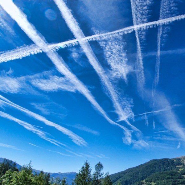 A Bridelope @ Former&nbsp;Cactus